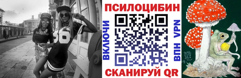 где продают   Сольцы  blacksprut ССЫЛКА  Галлюциногенные грибы Psilocybine cubensis 